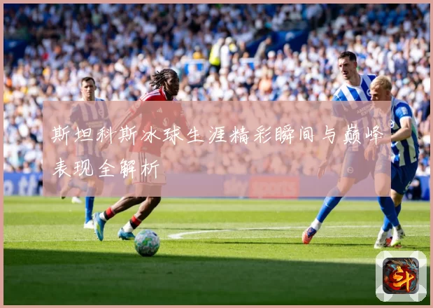 斯坦科斯冰球生涯精彩瞬间与巅峰表现全解析
