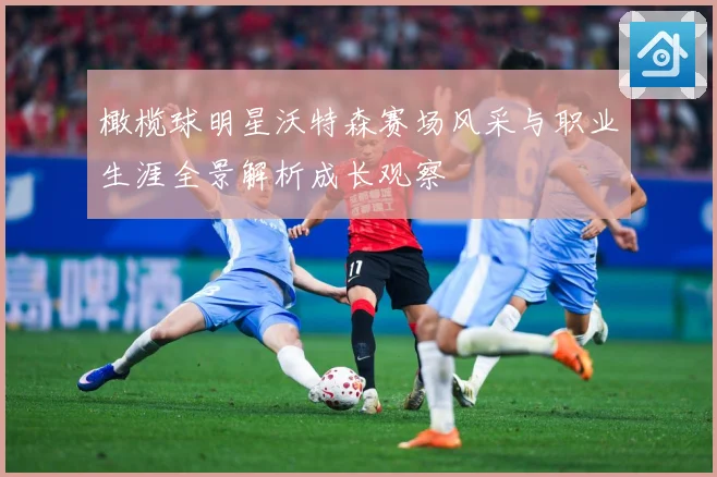 橄榄球明星沃特森赛场风采与职业生涯全景解析成长观察