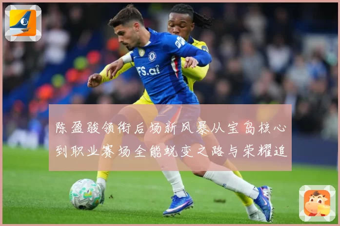 陈盈骏领衔后场新风暴从宝岛核心到职业赛场全能蜕变之路与荣耀追寻