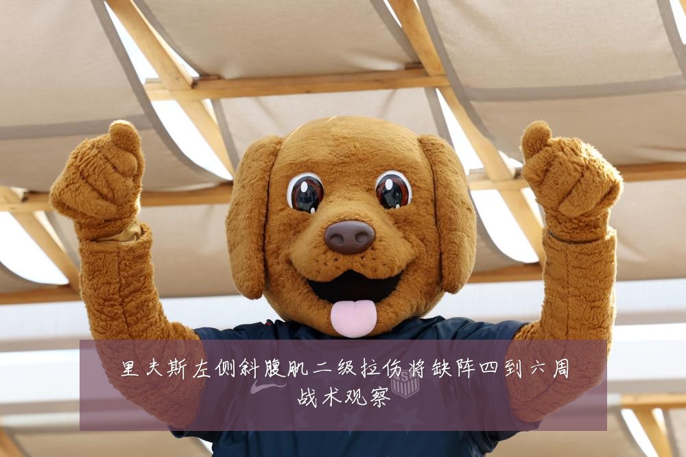 里夫斯左侧斜腹肌二级拉伤将缺阵四到六周战术观察